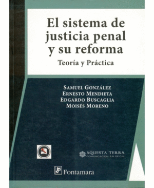 Sistema de justicia penal y su reforma, El