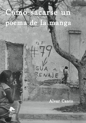Cómo sacarse un poema de la manga