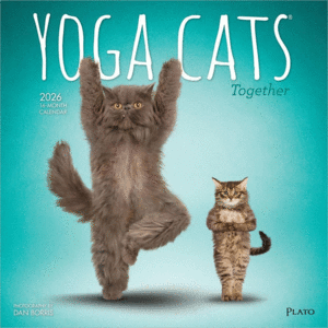 Yoga Cats Together, 16 Month: calendario de pared 2026