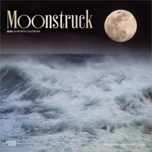 Moonstruck, 16 Month: calendario de pared 2026