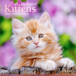For the Love of Kittens, Mini, 16 Month: calendario mini de pared 2026