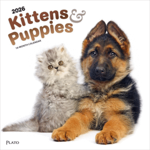 Kittens & Puppies, 16 Month: calendario de pared 2026