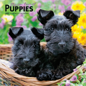 For the Love of Puppies, 16 Month: calendario mini de pared 2027