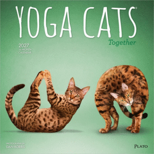 Yoga Cats Together, 16 Month: calendario de pared 2027