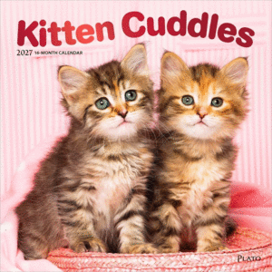 Kitten Cuddles, 16 Month: calendario de pared 2027