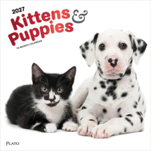 Kittens & Puppies, 16 Month: calendario de pared 2027