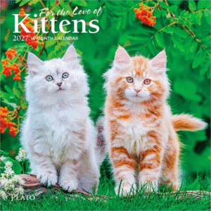 For the Love of Kittens, 16 Month: calendario mini de pared 2027