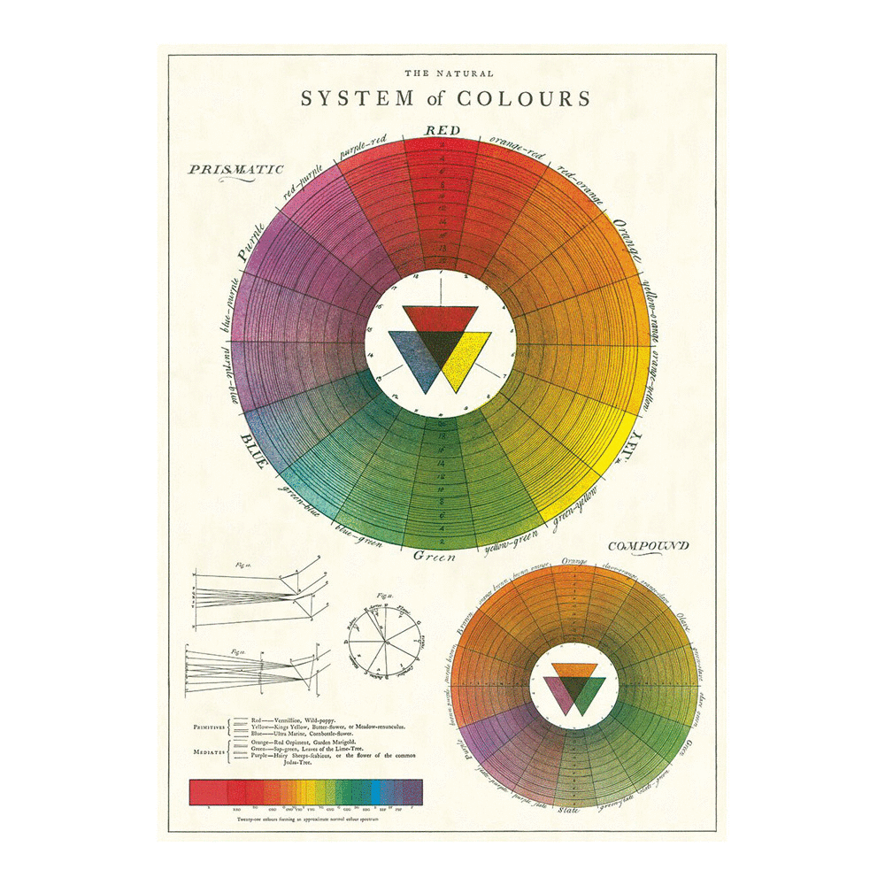 Color Wheel, Vintage Poster: papel decorativo. Posters. Cafebrería