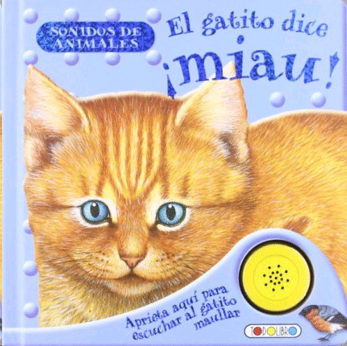 Gatito En Ingles Como Se Dice