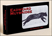 Muybridge's Cat: Flipbook